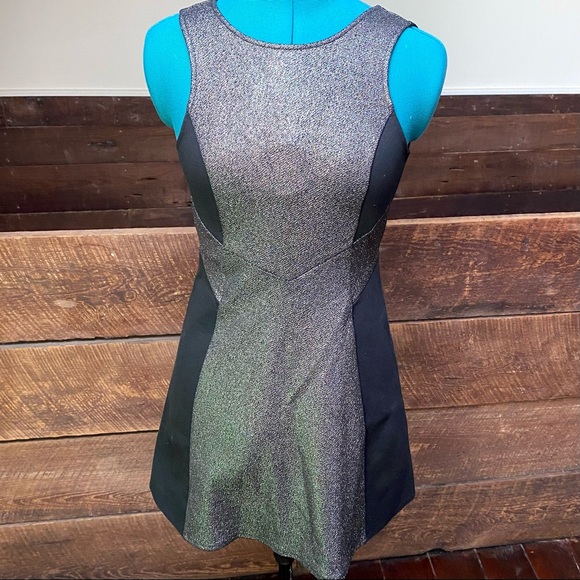 BCBGMaxAzria Joan of Arc Stretchy Skater Dress w/ Metallic Silver “Armor” Panels - Picture 3 of 10